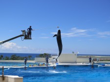 %e6%9c%88%e7%b5%84%ef%bd%b7%ef%bd%ac%ef%be%9d%ef%be%8c%ef%be%9f%e3%80%802016%e5%b9%b4-445