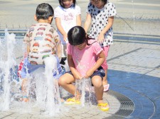 %e6%9c%88%e7%b5%84%ef%bd%b7%ef%bd%ac%ef%be%9d%ef%be%8c%ef%be%9f%e3%80%802016%e5%b9%b4-569