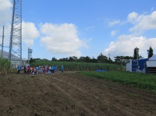 %e8%8a%8b%e3%81%bb%e3%82%8a2016-092